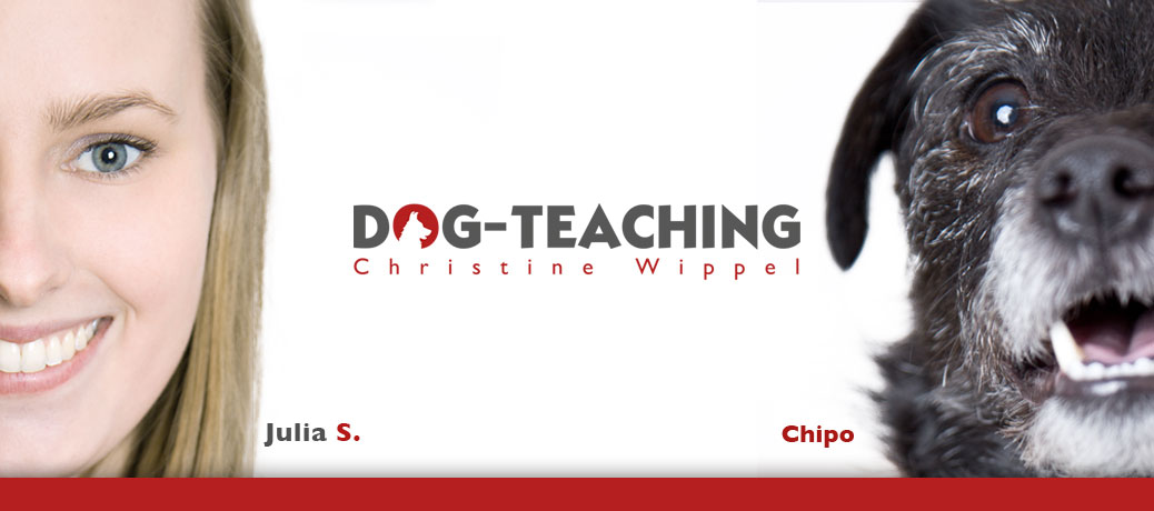 Dog-Teaching